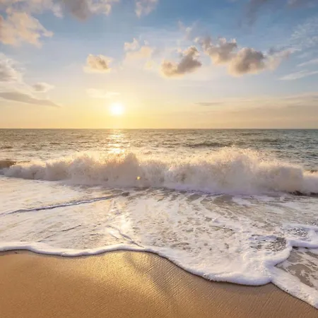 Springtij Met Privé Zwembad - Aan Zee Hébergement de vacances Julianadorp