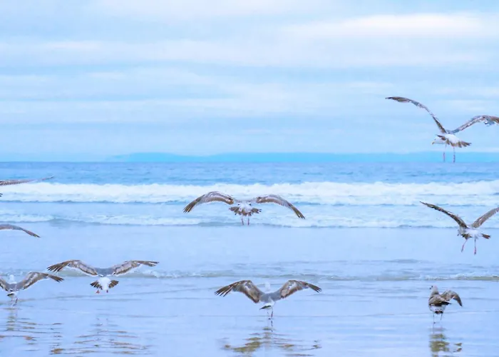 Springtij Met Prive Zwembad - Aan Zee * 줄리아나도르프