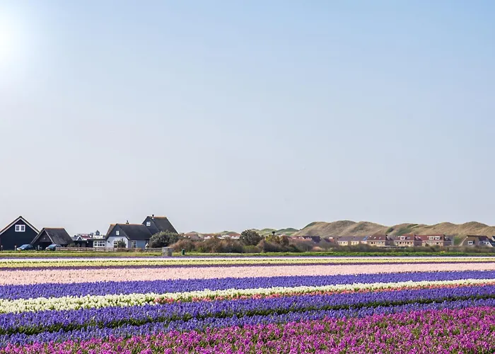 펜션 Springtij Met Prive Zwembad - Aan Zee *