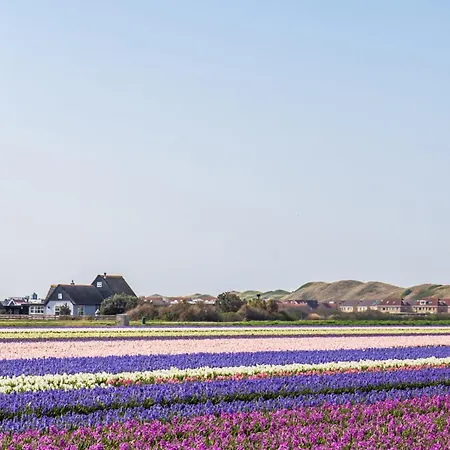 Semesterbostad Springtij Met Prive Zwembad - Aan Zee *